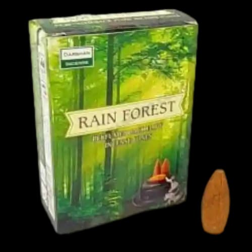 عود آبشاری جنگل بارانی Rain Forest - دکوتیکو — تصویر ۳
