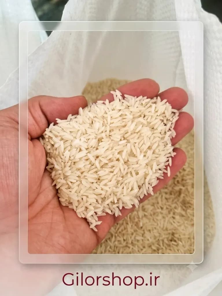برنج هاشمی درجه یک اعلا گیلان ۵ کیلویی — تصویر ۴