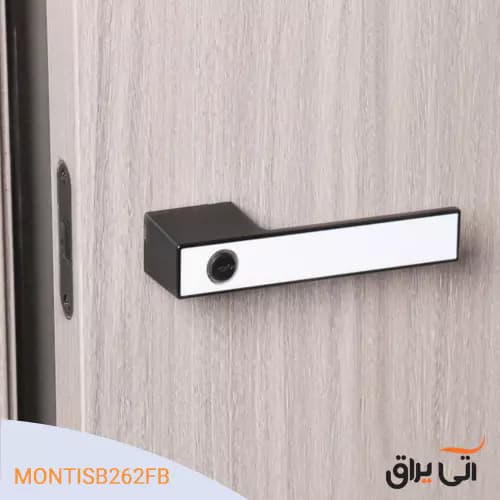 دستگیره و قفل مگنتی برندIISDOO مدل MONTIS B262FH — تصویر ۳
