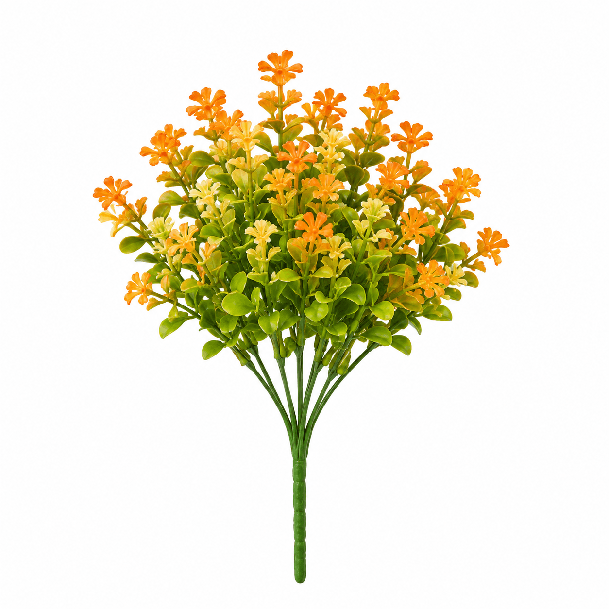 بوته شکوفه پاییزی