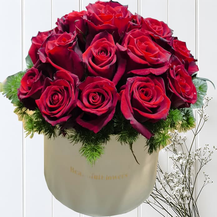 باکس گل رز هلندی ۲۰ شاخه کد ۰۰۲