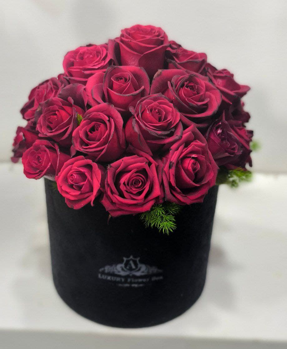 باکس رز هلندی قرمز کد ۰۰۱