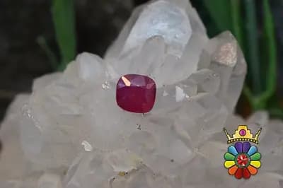 یاقوت سرخ سودانگوهران شاپ