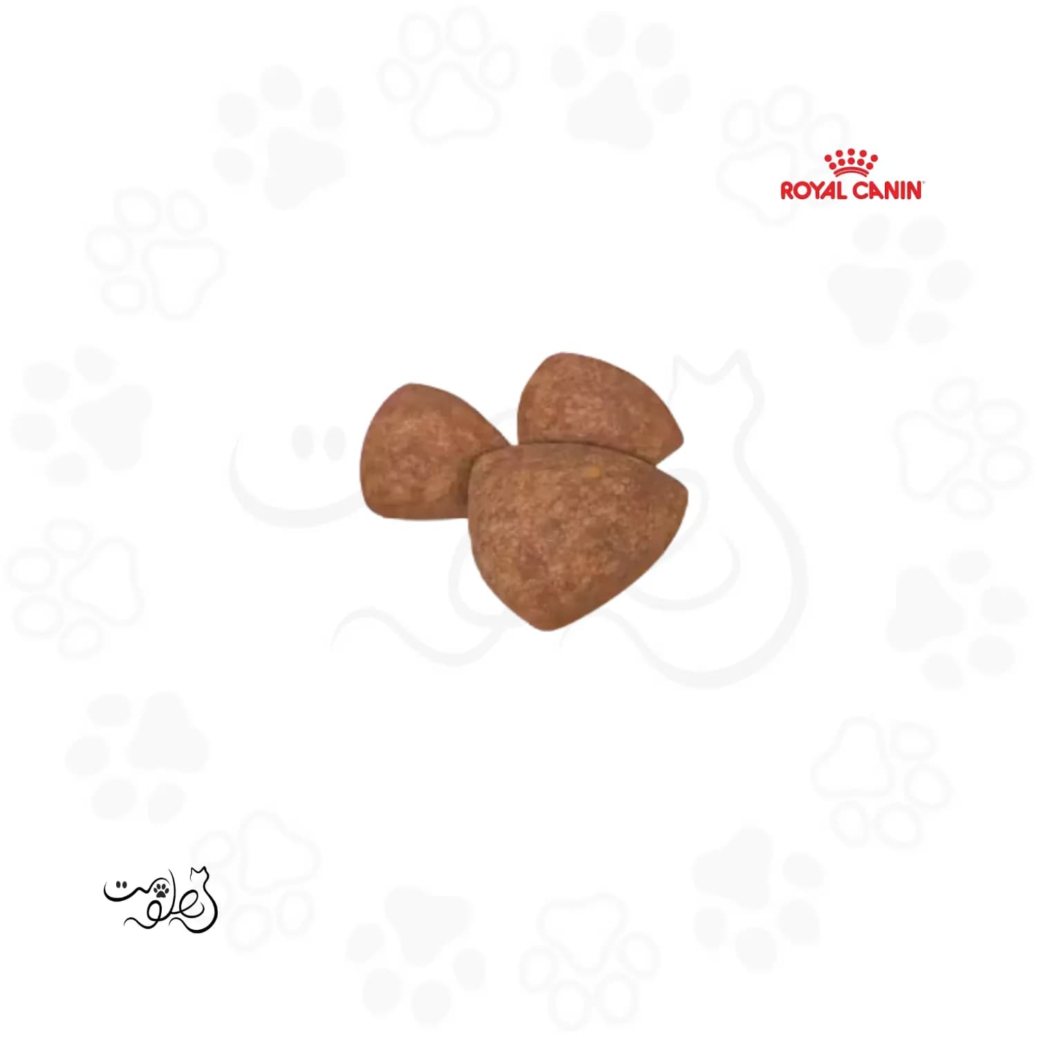 غذای خشک توله سگ مینی ایندور رویال کنین ۱.۵ کیلوگرم Mini Indoor Puppy - پت شاپ هلوپت — تصویر ۳