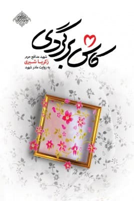 کاش برگردی — تصویر ۲
