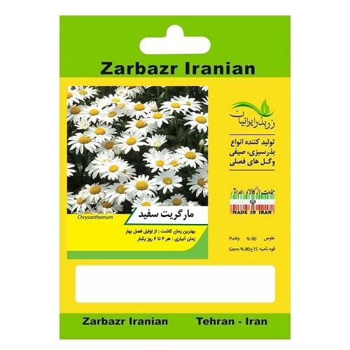 بذر گل مارگریت سفید زربذر ایرانیان