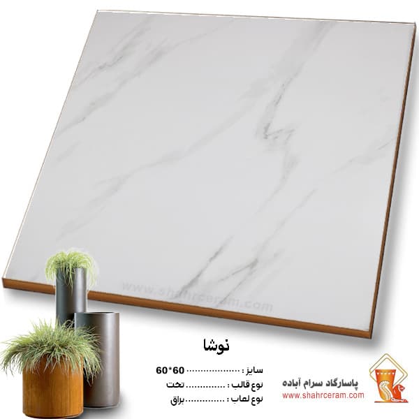 سرامیک نوشا 60*60 پاسارگاد آباده