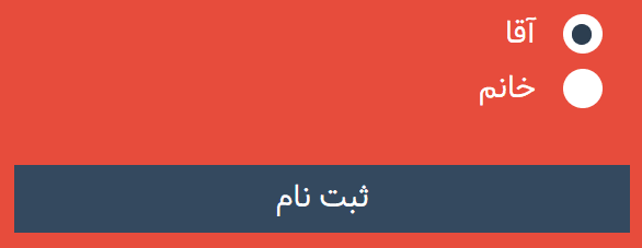 پروژه فرم ثبت‌نام ساده با استفاده از HTML و CSS و JavaScript — تصویر ۲