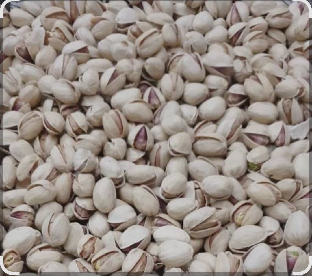 پسته کله قوچی ، پسته درشت و خاص پسند