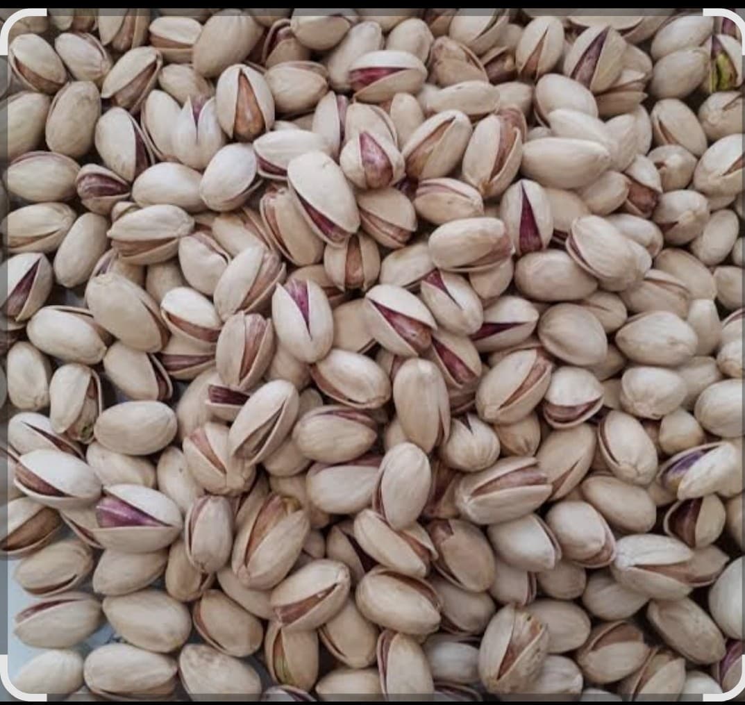 پسته احمدآقایی لوکس‌ترین و درشت‌ترین