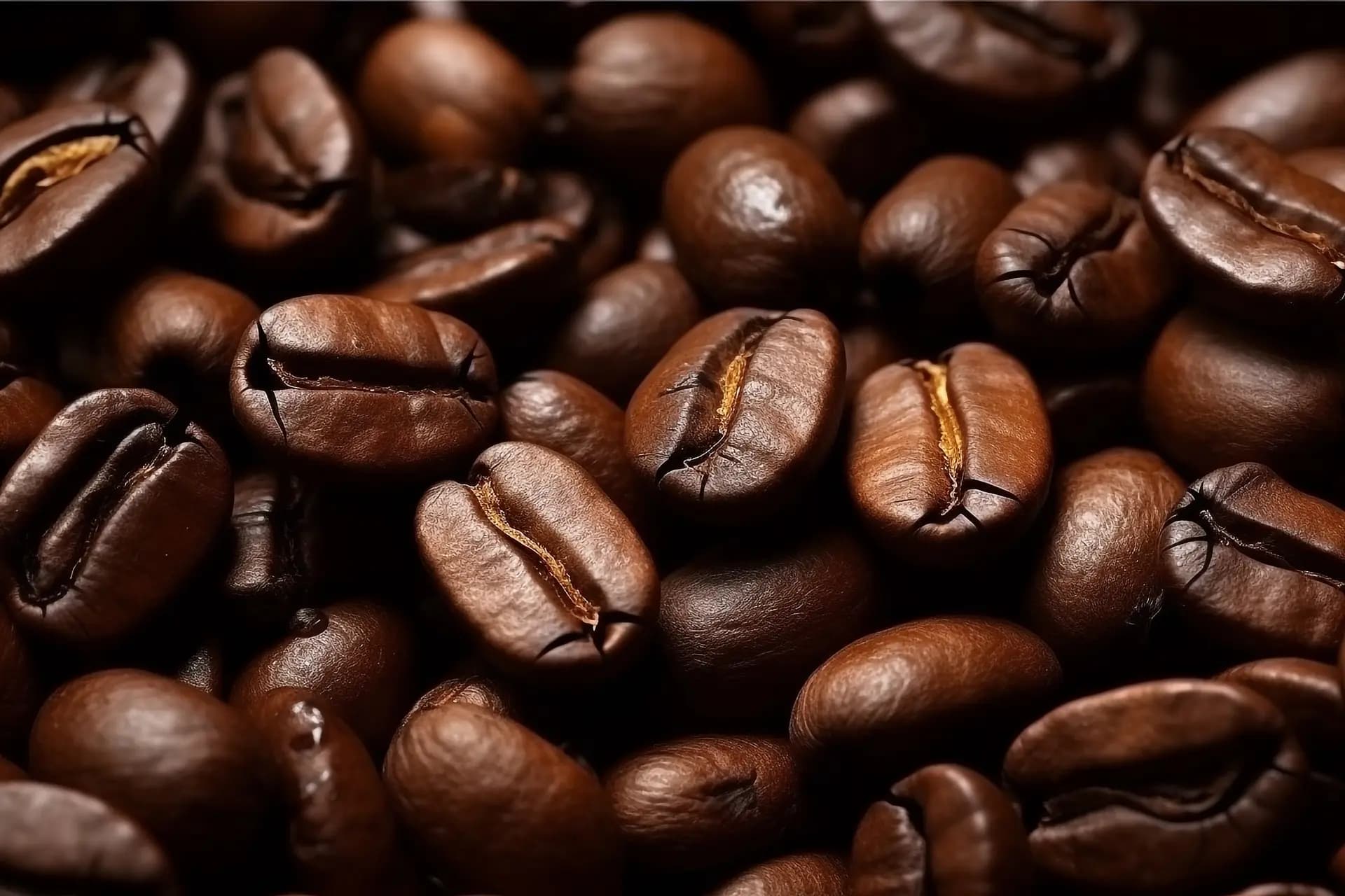 ربوستا هند - MATA Coffee — تصویر ۲