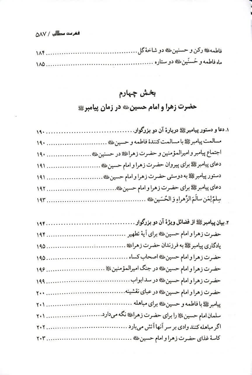 حضرت فاطمه زهرا و امام حسین علیهماالسلام — تصویر ۷