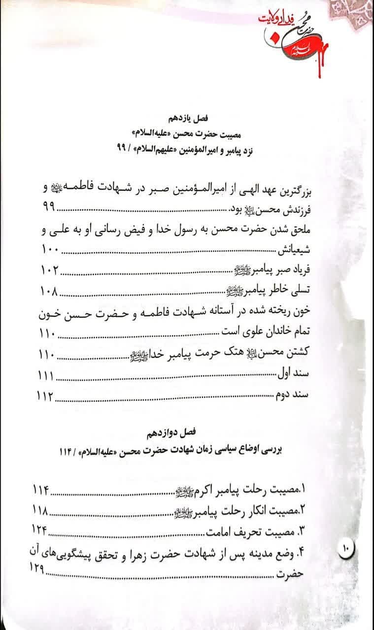 حضرت محسن (علیه السلام) فدایی ولایت — تصویر ۷