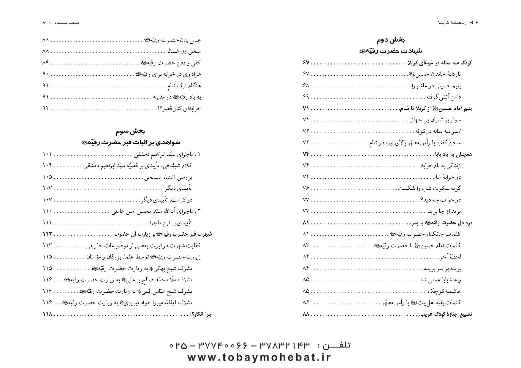 ریحانه کربلا (تحقیق در زندگی و بارگاه حضرت رقیه علیهاالسلام) — تصویر ۳