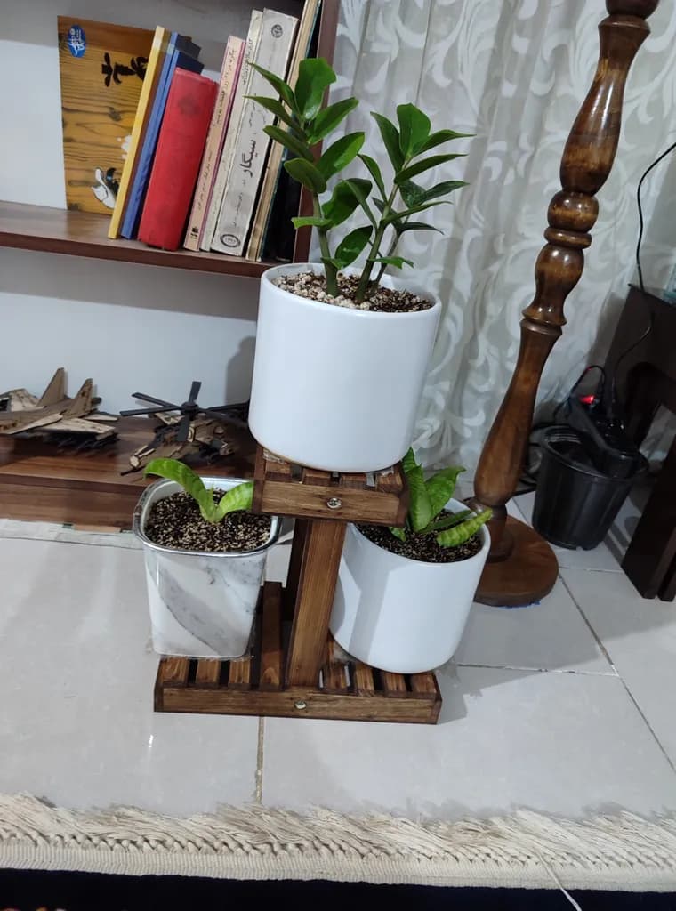 مینی استند گل آقای نجار