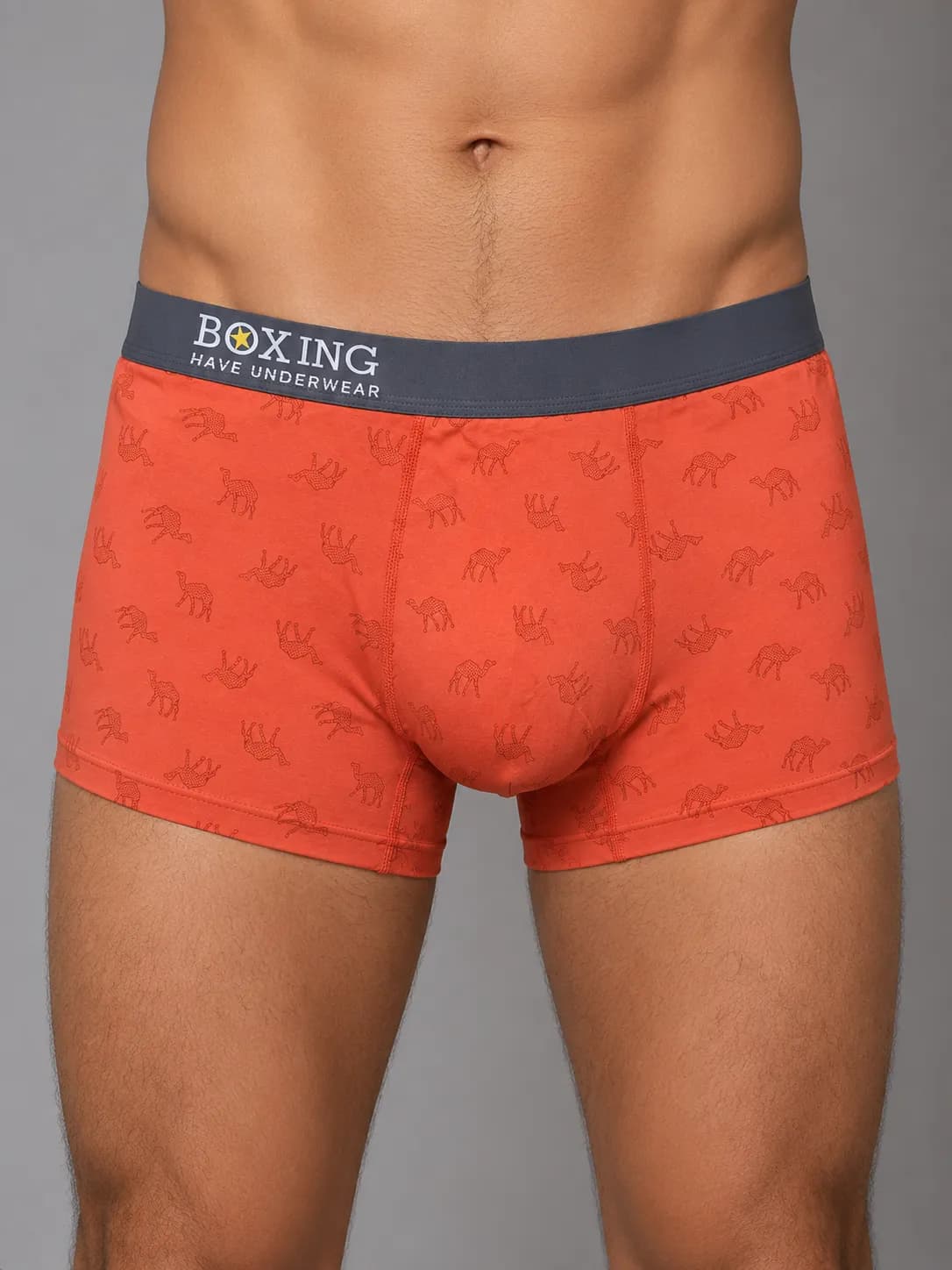 شورت مردانه پادار BOXING طرح شتر — تصویر ۲