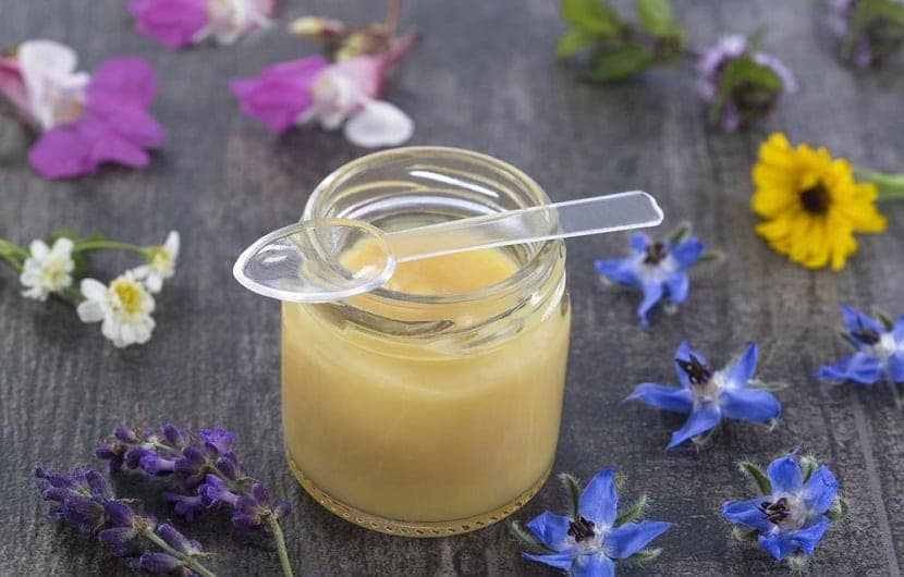 ژل رویال نوچ 15 گرم