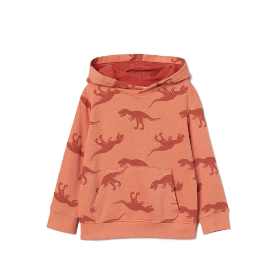 هودی توکرکی بچگانه پسرانه اچ اند ام H&M | کد 4031/00033