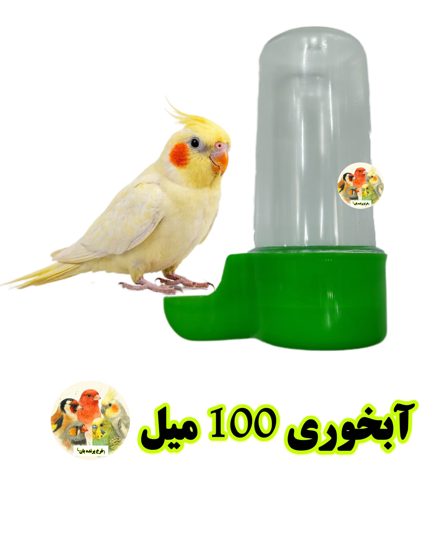 آبخوری لوکس مناسب عروس هلندی و انواع پرندگان زینتی
