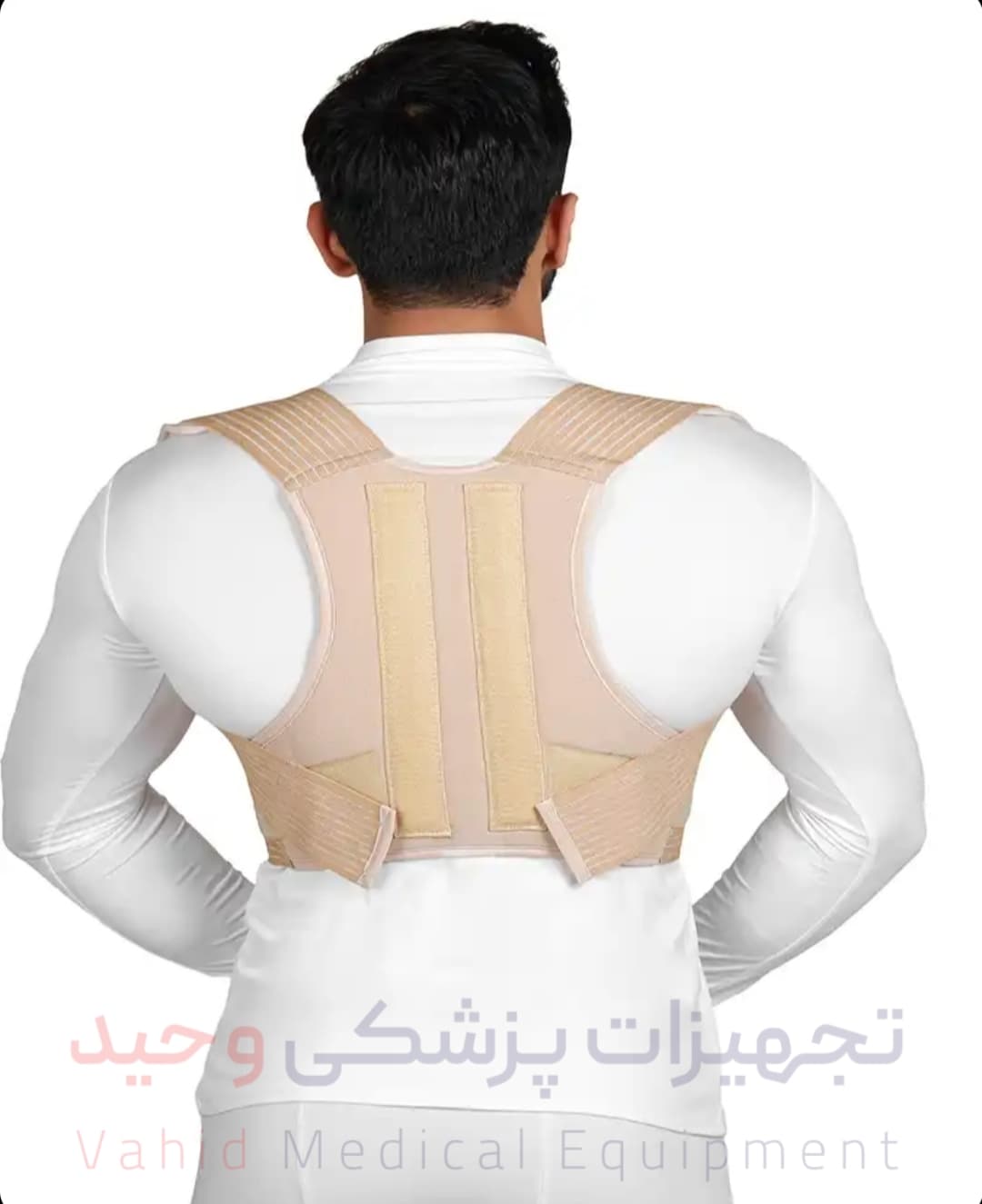 قوزبند الاستیک – کد 2006