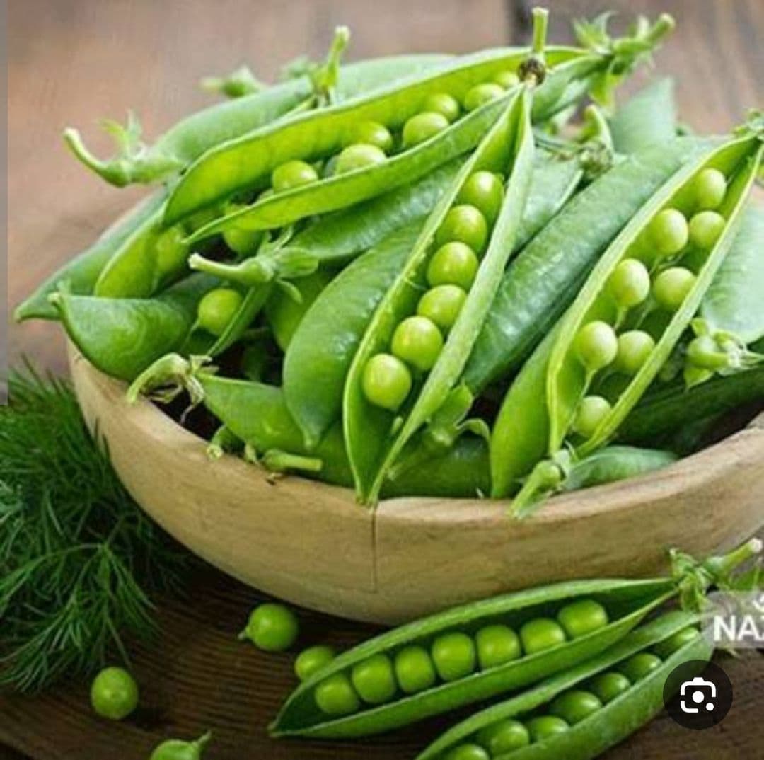 بذر نخود فرنگی پفکی ثمین (بسته خانگی 20 گرمی)