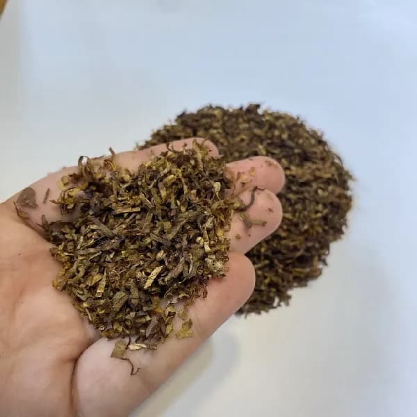 توتون کوبایی بسته 100 گرم