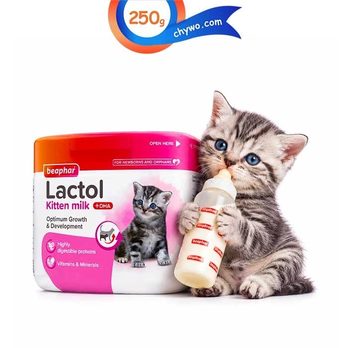 شیر خشک بچه گربه بیفار مدل لاکتول وزن 250 گرم Beaphar Lactol Kitten Milk
