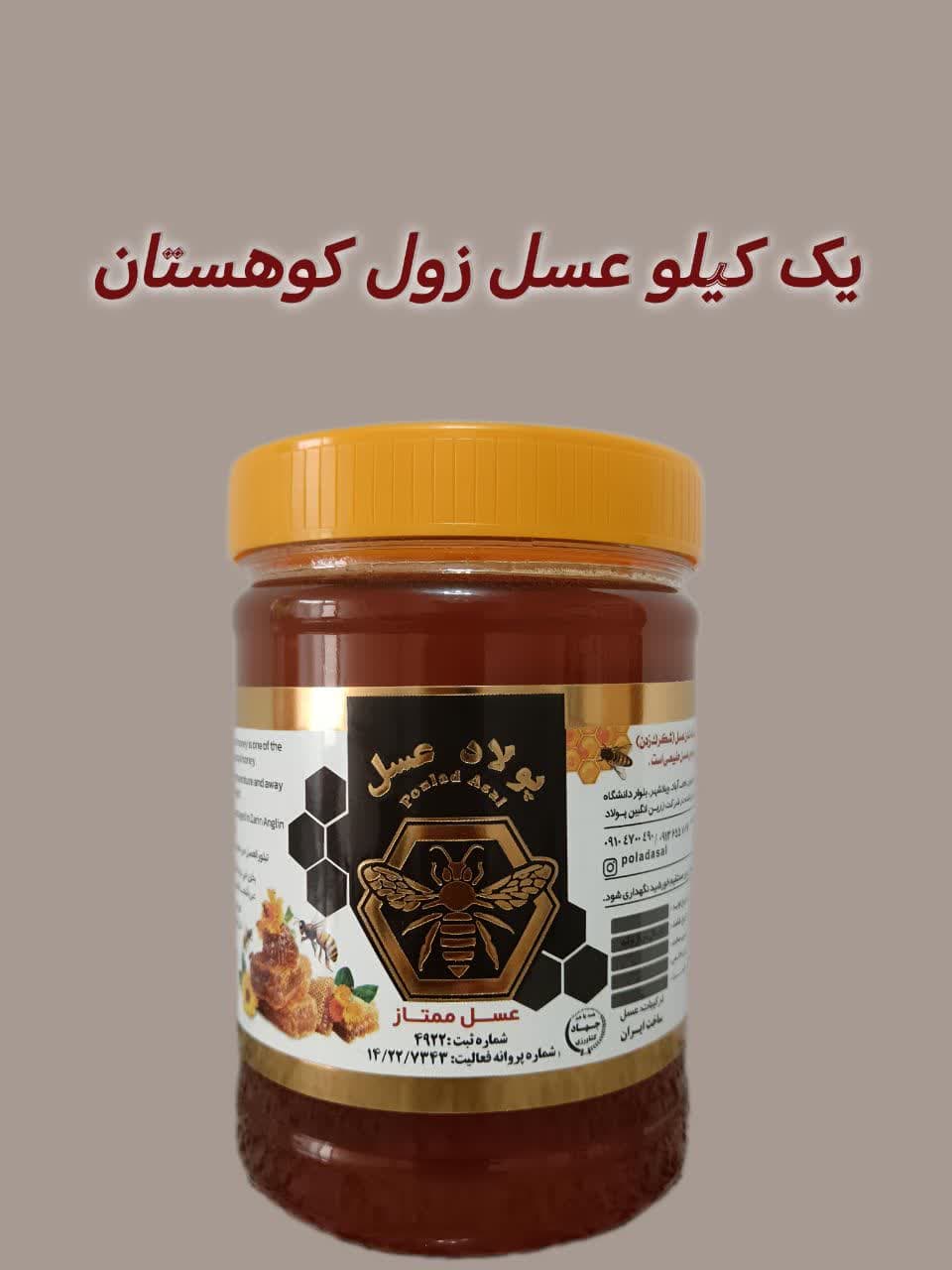 عسل زول(بوقناق) کوهستانی ممتاز ۱ کیلویی