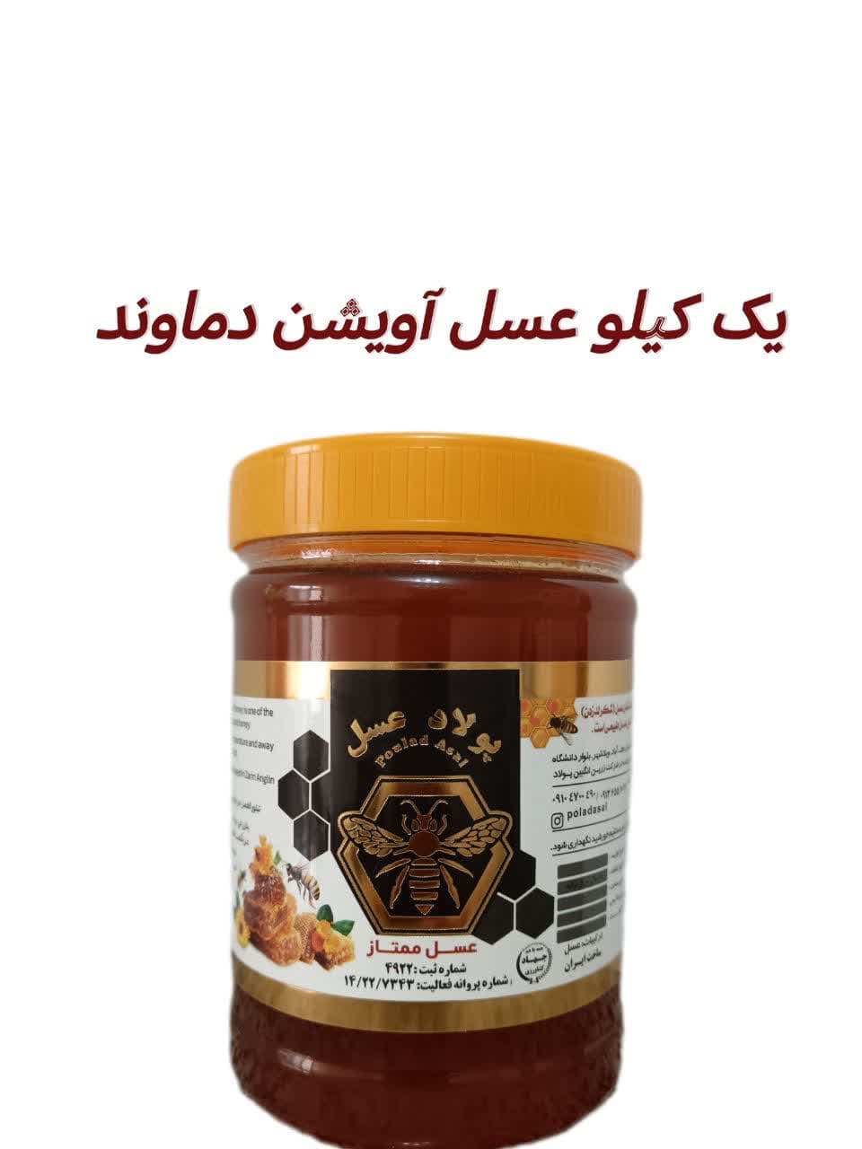 عسل آویشن دماوند ۱ کیلویی پولاد عسل