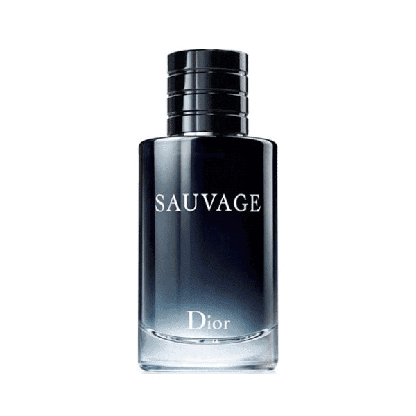 عطر مردانه حِس مدل دیور ساوج (کریستین دیور ساواج) – hes – Dior – Dior Sauvage