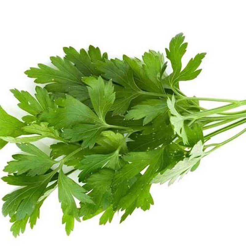 بذر جعفری وزن 50 گرم — تصویر ۲