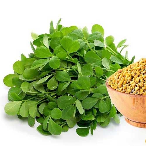 بذر شنبلیله پابلند وزن یک کیلوگرم