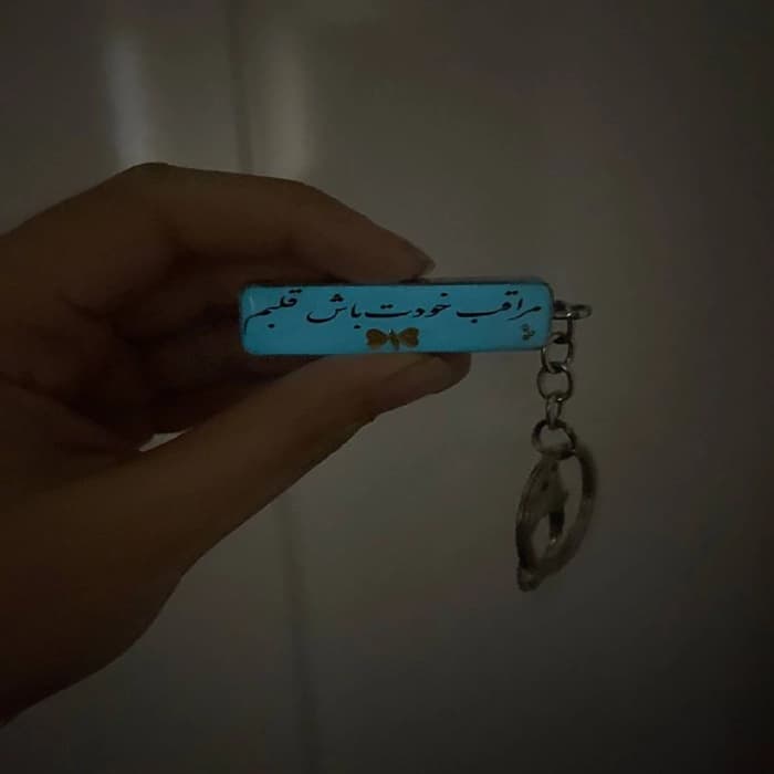 جاسوئیچی پلاک ماشین رزینی 2 طرفه | هدیه‌ خاص ماشین‌بازها 🚗 — تصویر ۳