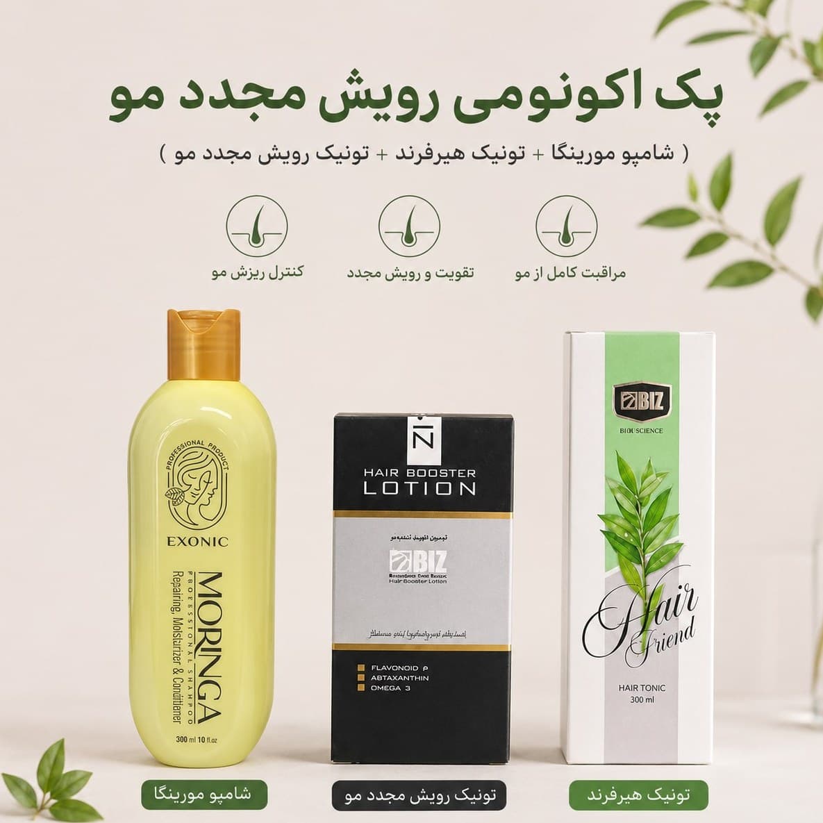 پک اکونومی رویش مجدد مو/تونیک هیرفرند+تونیک رویش مجدد مو بیز+شامپو مورینگا اکسونیک