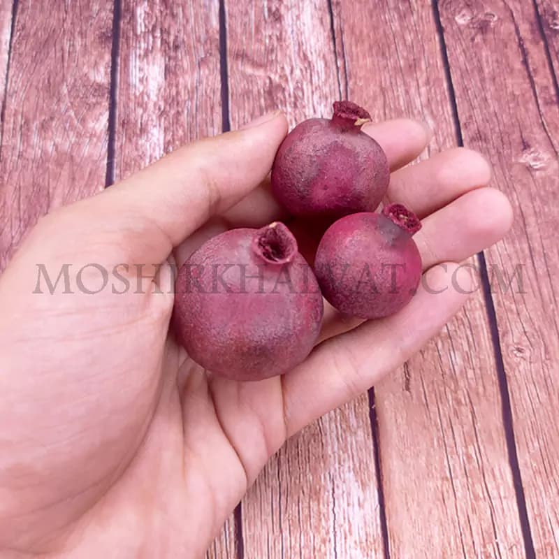 انار خشک تزیینی — تصویر ۷