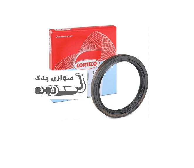 کاسه نمد پلوس رنو کپچر