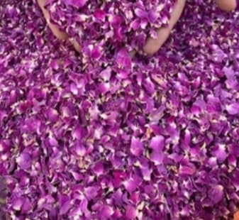 گل محمدی اعلا باغهای جنگل ابر شاهرود (۱۰۰ گرمی)