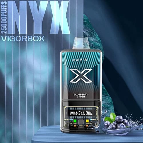 پاد یکبار مصرف 25000 پاف VIGORBOX طعم بلوبری