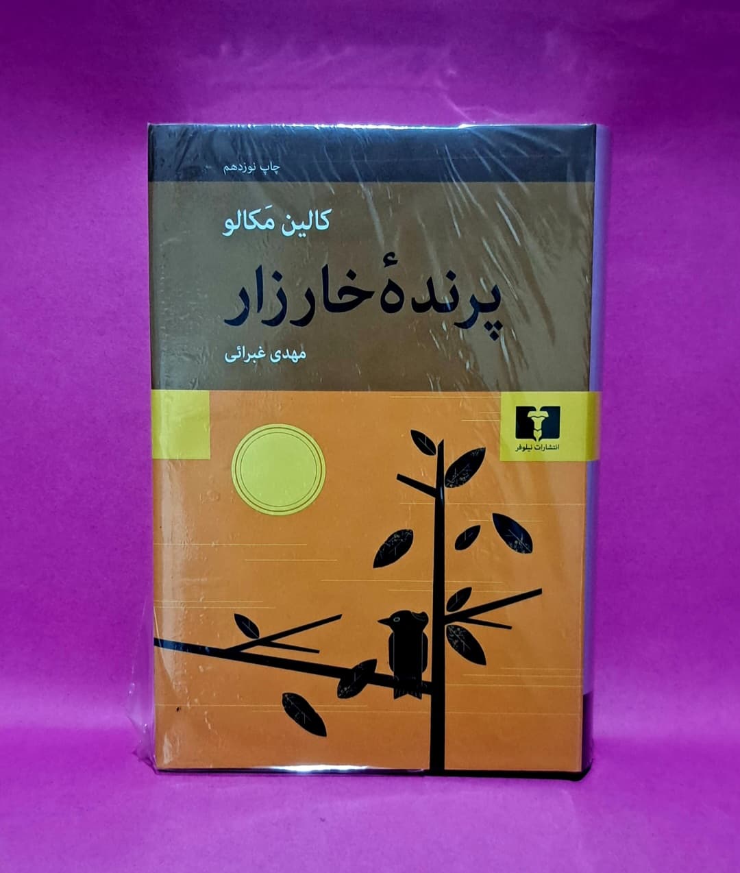 کتاب پرنده خارزار (ترجمه مهدی غبرایی)