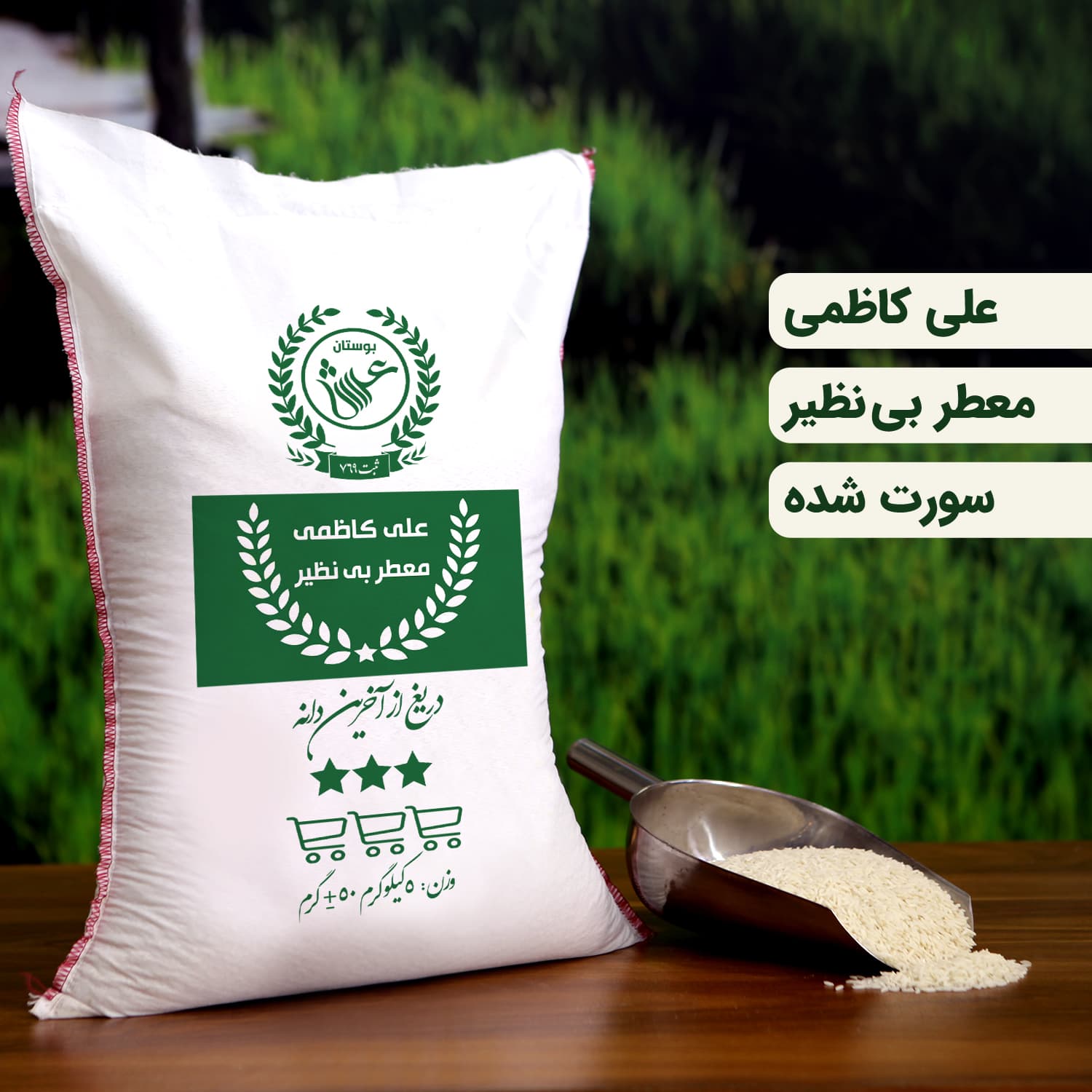 برنج علی کاظمی گیلان _ 5 کیلویی (تضمین کیفیت) - شهر برنج
