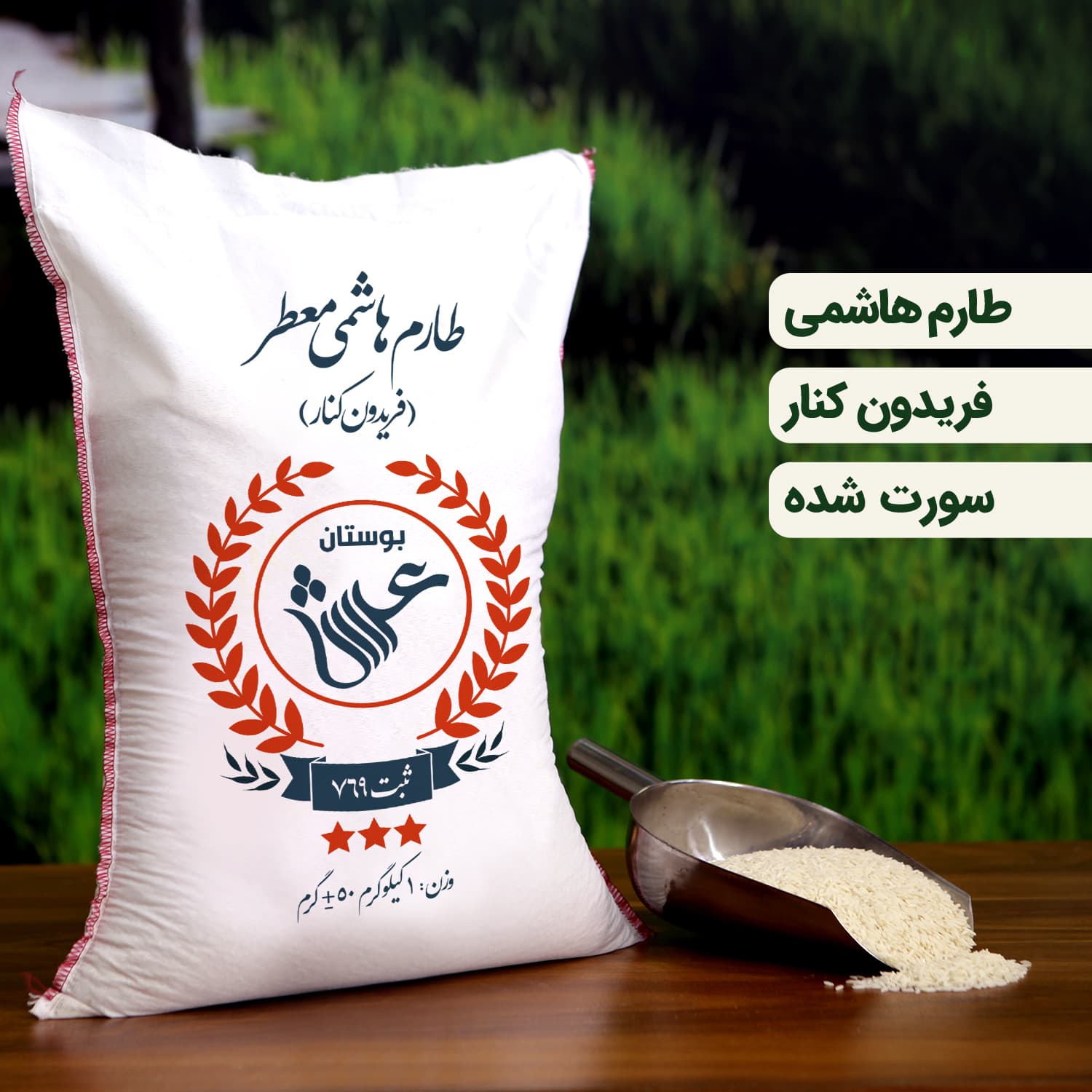 برنج طارم هاشمی نمونه یک کیلویی جهت تست - شهر برنج