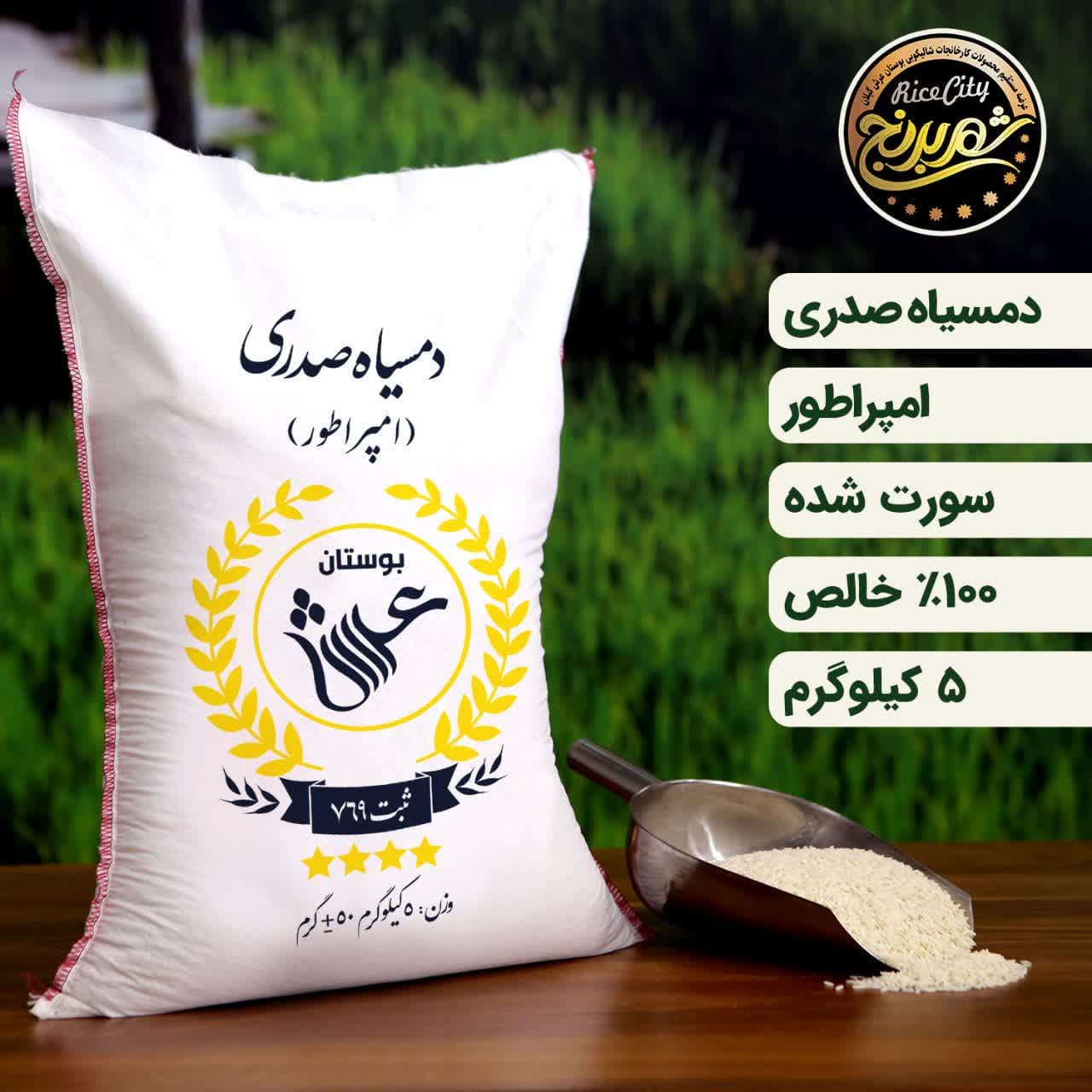 برنج دمسیاه صدری گیلان فوق اعلا ( 5کیلویی) (تضمین کیفیت) - شهر برنج