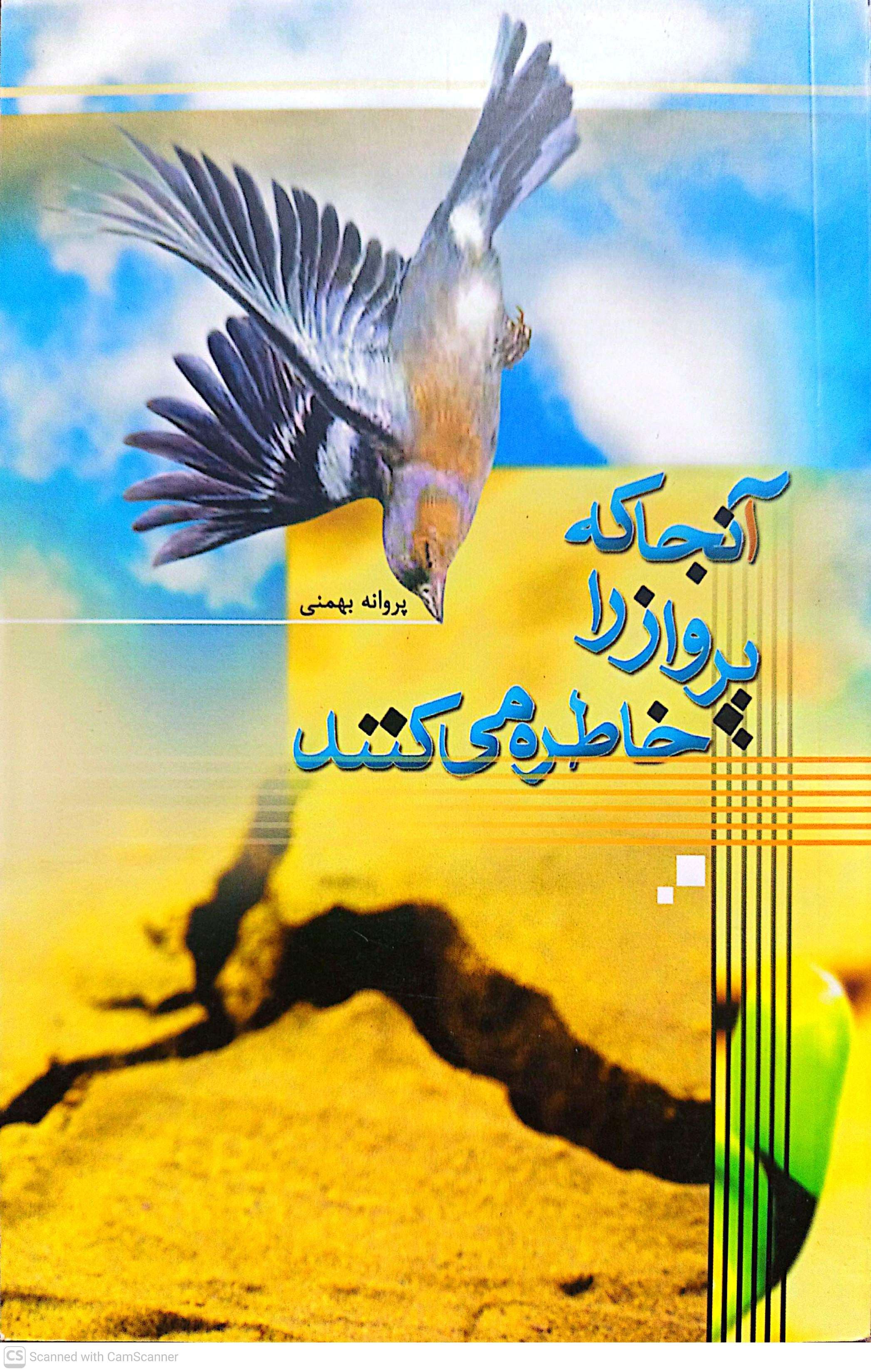 آنجا که پرواز را خاطره می‌کنند - پروانه بهمنی