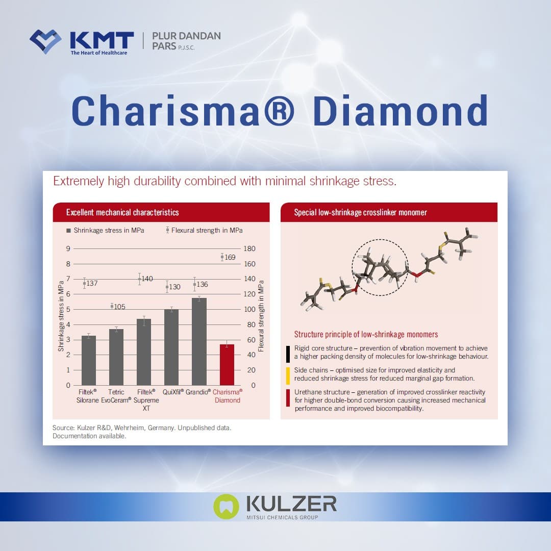Kulzer Charisma Diamond کولزر کاریزما دایموند — تصویر ۴