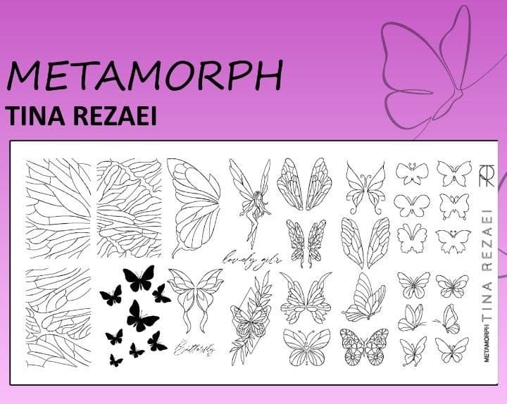 تینا رضایی - شابلون METAMORQH