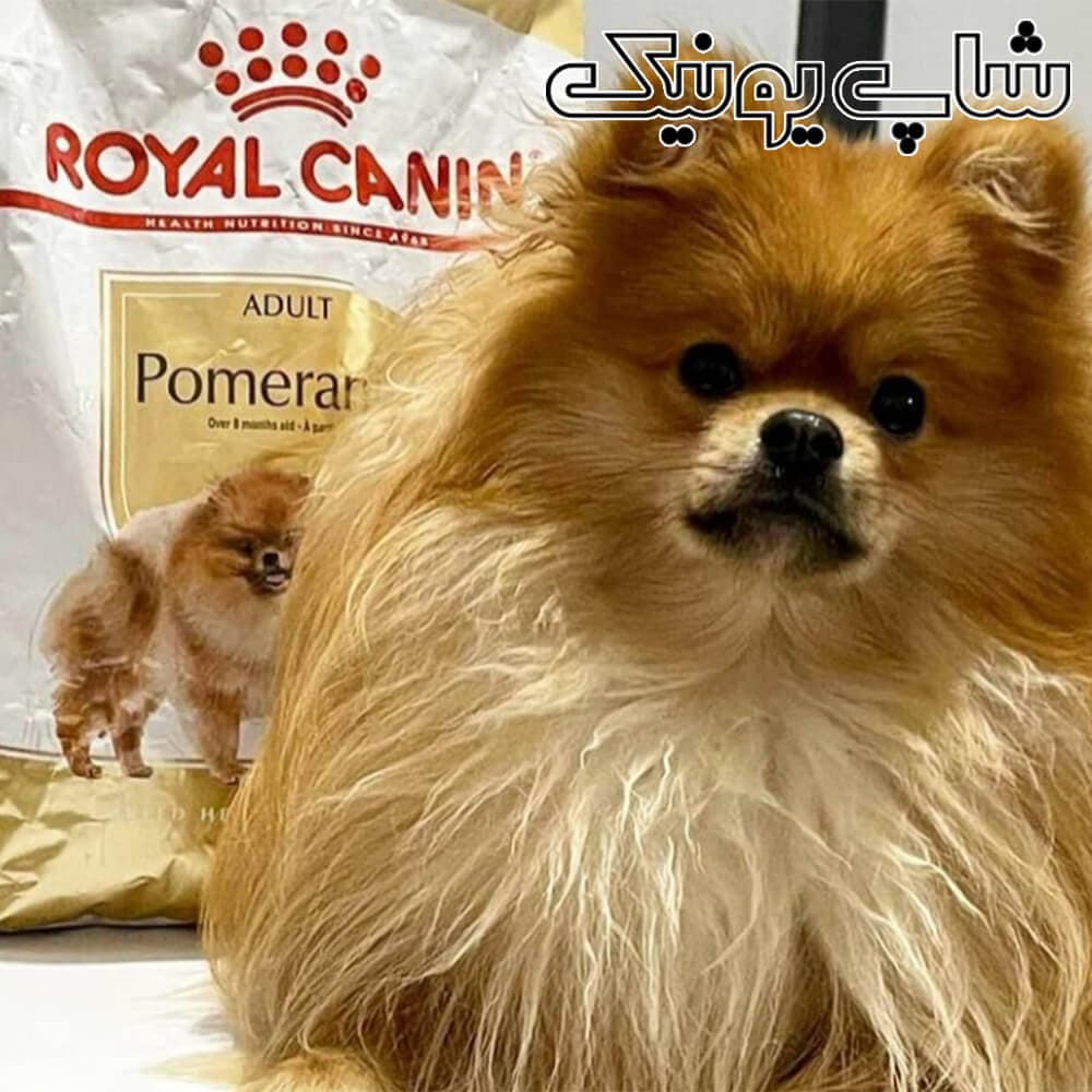 غذای سگ پامرانین رویال کنین کد sh901