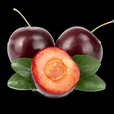 نهال گوجه قرمز — تصویر ۲
