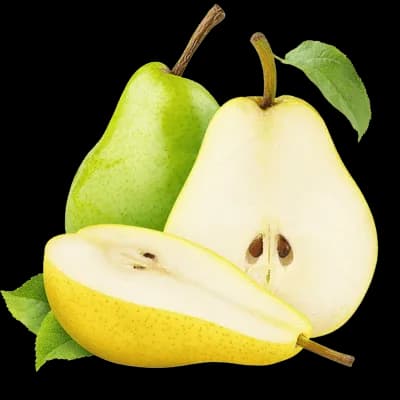 نهال گلابی ویلیام دوشیز — تصویر ۲