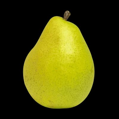 نهال گلابی مشو — تصویر ۴