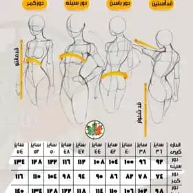 شومیز | مدل فرین | کد 6001 ⋆شومیز اداری مدل 6001 فرین — تصویر ۲